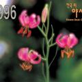 1996 한국의 야생화 2집