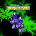 2013 우리 꽃의 재발견 | Rediscovery of Korean Flowers